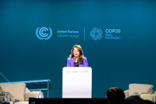 В рамках COP29 обсуждена мобилизация правоохранительных органов в борьбе с изменением климата (ФОТО)