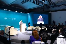 В рамках COP29 обсуждена мобилизация правоохранительных органов в борьбе с изменением климата (ФОТО)