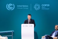 В рамках COP29 обсуждена мобилизация правоохранительных органов в борьбе с изменением климата (ФОТО)