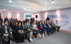 Вице-президент Фонда Гейдара Алиева Лейла Алиева приcутствовала на показе документального фильма Seaspiracy (ФОТО)