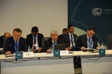 В рамках COP29 состоялся инвестиционный форум по вопросам перехода к энергетике для Центральной Азии (ФОТО)