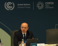 В рамках COP29 состоялся инвестиционный форум по вопросам перехода к энергетике для Центральной Азии (ФОТО)