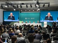 В День энергии в рамках COP29 состоялась пресс-конференция (ФОТО)