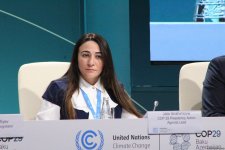 В День энергии в рамках COP29 состоялась пресс-конференция (ФОТО)