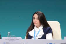 В День энергии в рамках COP29 состоялась пресс-конференция (ФОТО)