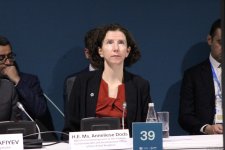 На COP29 прошла панельная сессия, организованная рядом стран совместно с Международной организацией по миграции (ФОТО)