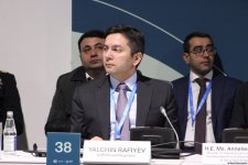 На COP29 прошла панельная сессия, организованная рядом стран совместно с Международной организацией по миграции (ФОТО)