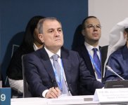 На COP29 прошла панельная сессия, организованная рядом стран совместно с Международной организацией по миграции (ФОТО)