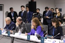 На COP29 прошла панельная сессия, организованная рядом стран совместно с Международной организацией по миграции (ФОТО)