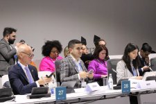 На COP29 прошла панельная сессия, организованная рядом стран совместно с Международной организацией по миграции (ФОТО)