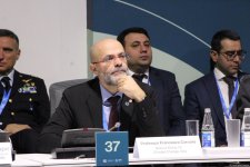 На COP29 прошла панельная сессия, организованная рядом стран совместно с Международной организацией по миграции (ФОТО)