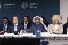 На COP29 прошла панельная сессия, организованная рядом стран совместно с Международной организацией по миграции (ФОТО)