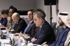 На COP29 прошла панельная сессия, организованная рядом стран совместно с Международной организацией по миграции (ФОТО)