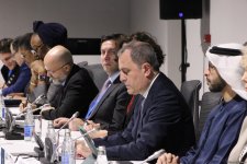 На COP29 прошла панельная сессия, организованная рядом стран совместно с Международной организацией по миграции (ФОТО)