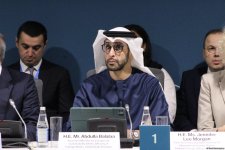 На COP29 прошла панельная сессия, организованная рядом стран совместно с Международной организацией по миграции (ФОТО)