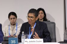 На COP29 прошла панельная сессия, организованная рядом стран совместно с Международной организацией по миграции (ФОТО)