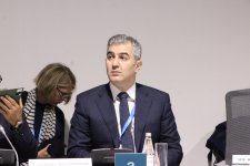На COP29 прошла панельная сессия, организованная рядом стран совместно с Международной организацией по миграции (ФОТО)