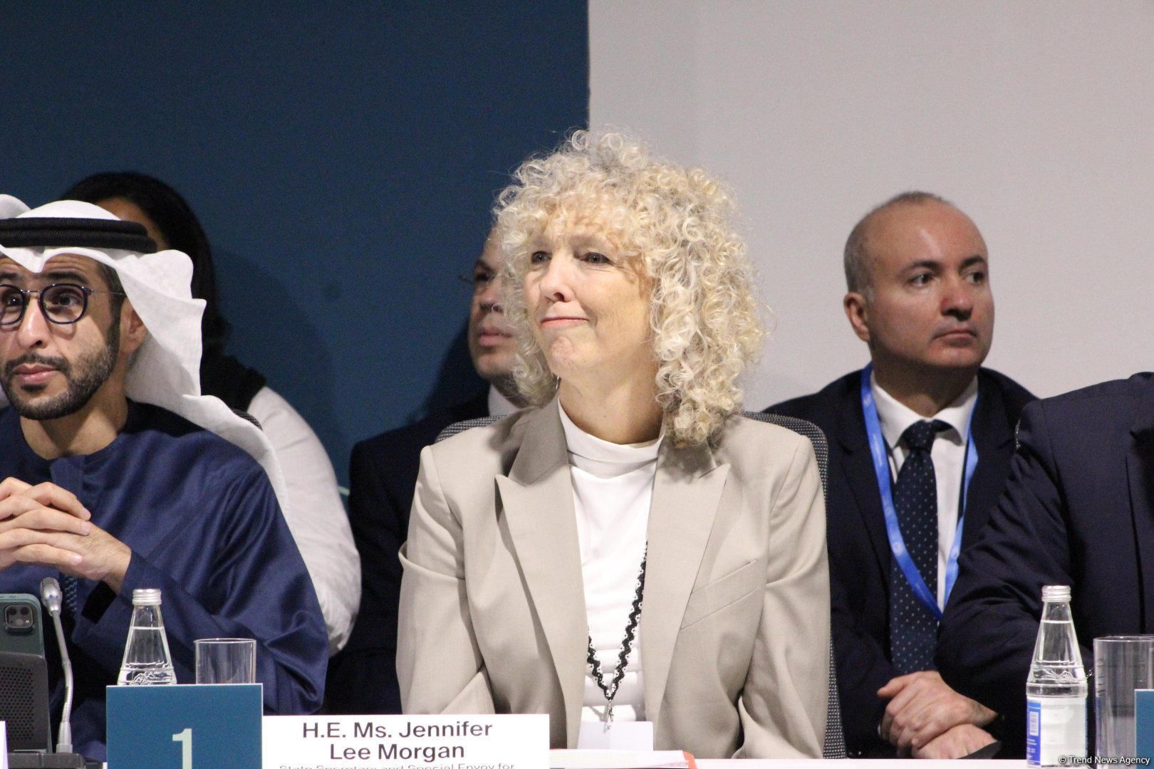 На COP29 прошла панельная сессия, организованная рядом стран совместно с Международной организацией по миграции (ФОТО)