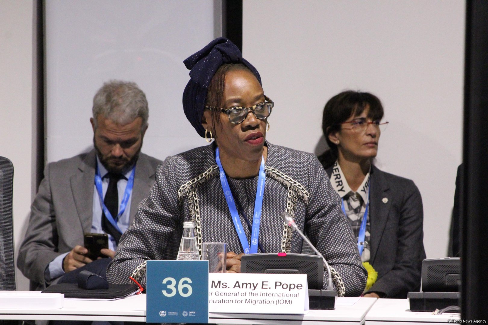 На COP29 прошла панельная сессия, организованная рядом стран совместно с Международной организацией по миграции (ФОТО)