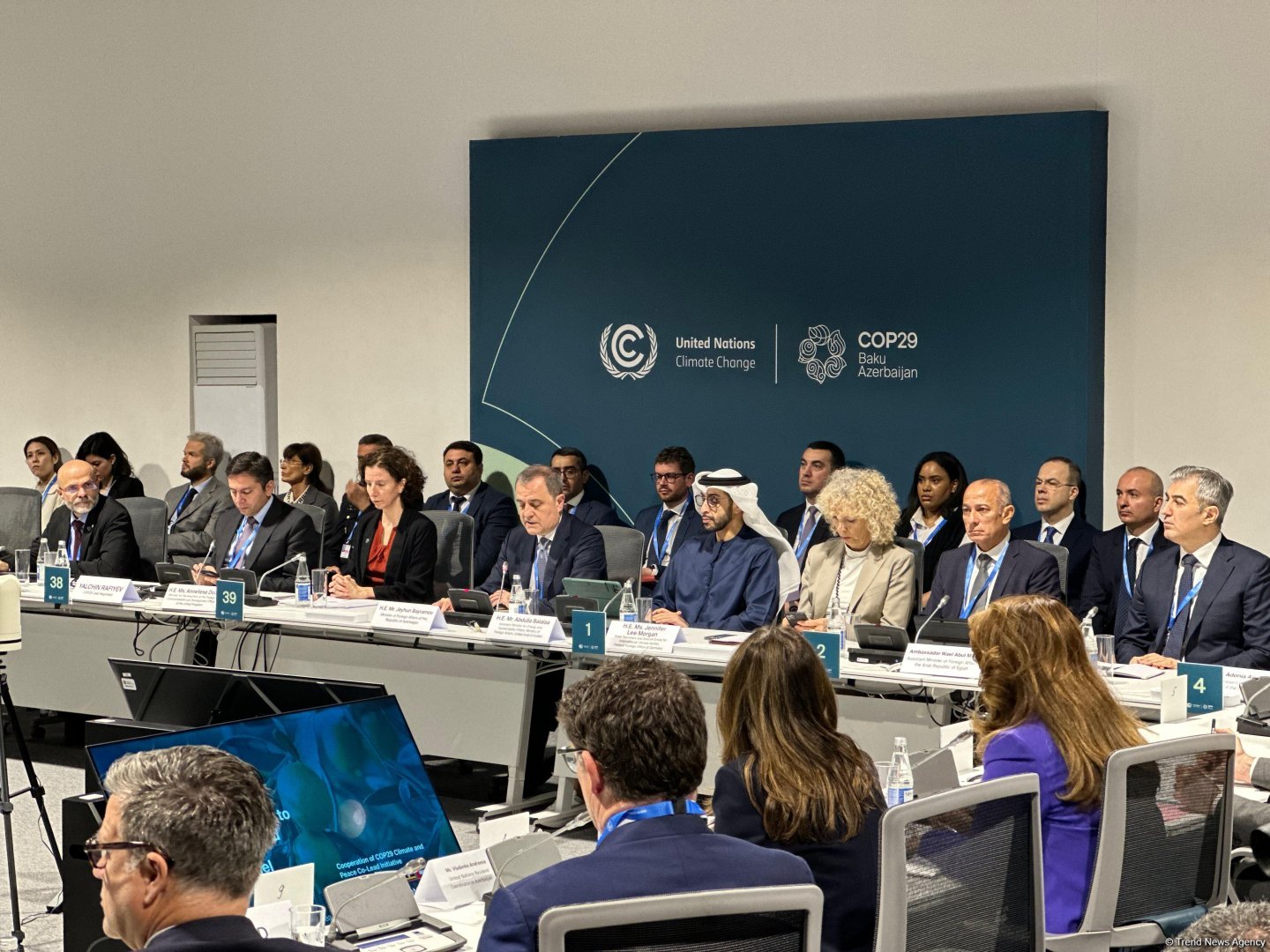 На COP29 прошла панельная сессия, организованная рядом стран совместно с Международной организацией по миграции (ФОТО)