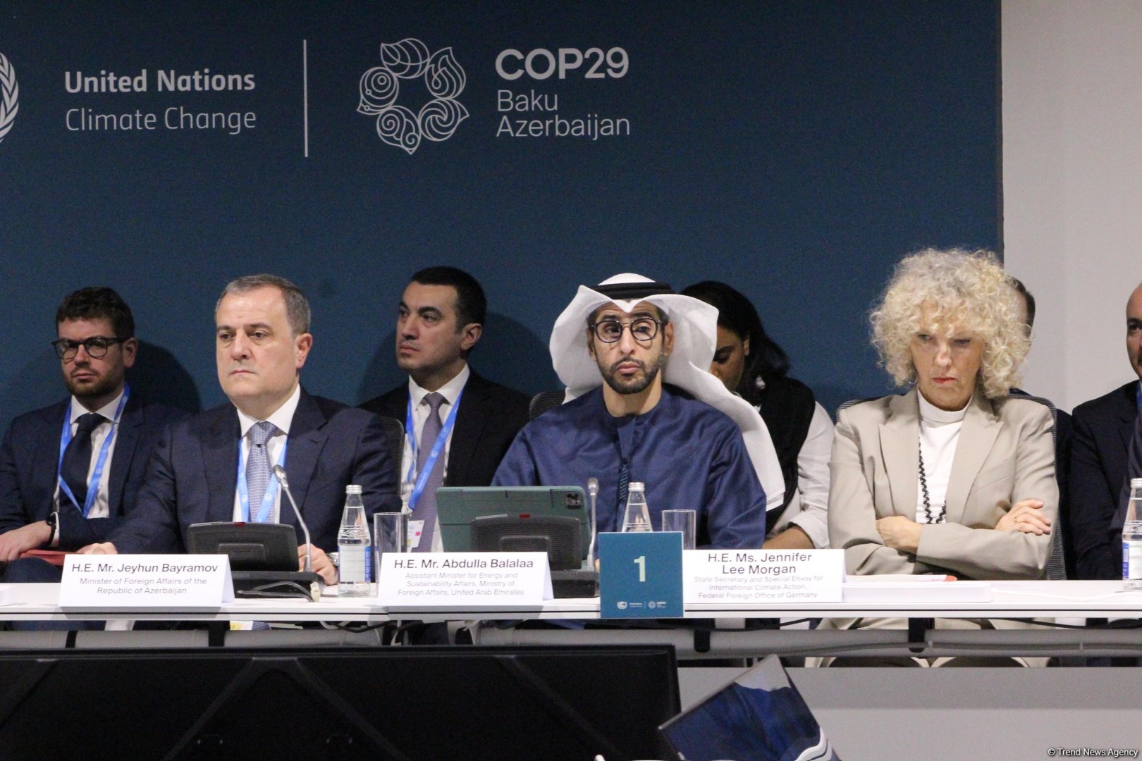 На COP29 прошла панельная сессия, организованная рядом стран совместно с Международной организацией по миграции (ФОТО)