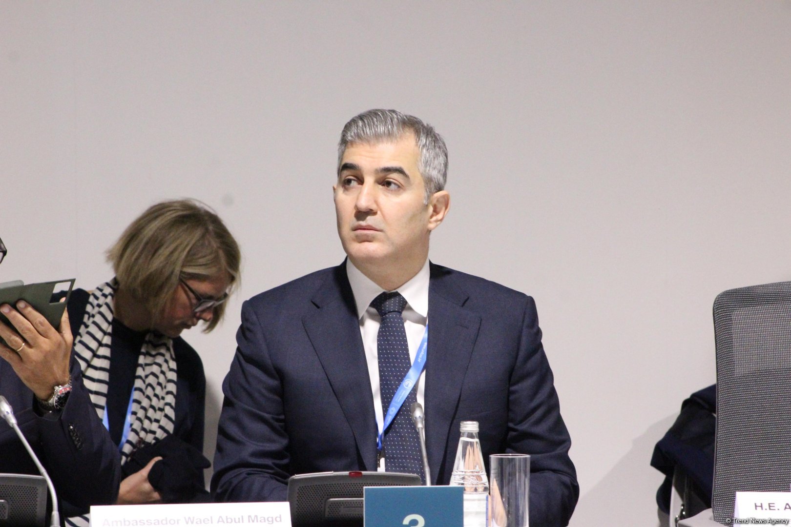 На COP29 прошла панельная сессия, организованная рядом стран совместно с Международной организацией по миграции (ФОТО)