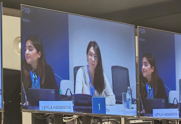 Civil society support essential for overcoming climate challenges - NGO from Kazakhstan