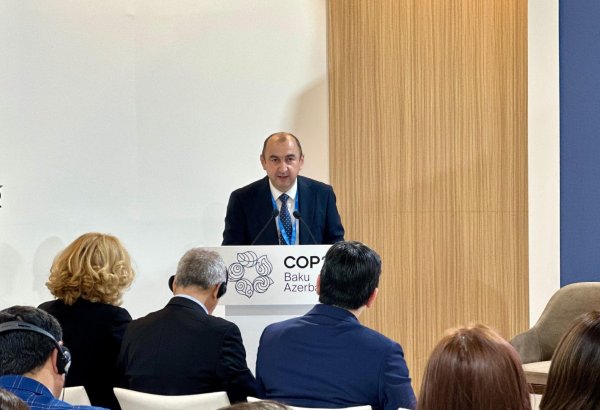 Economically sustainable future transition ranks among critical challenges - Azerbaijani official