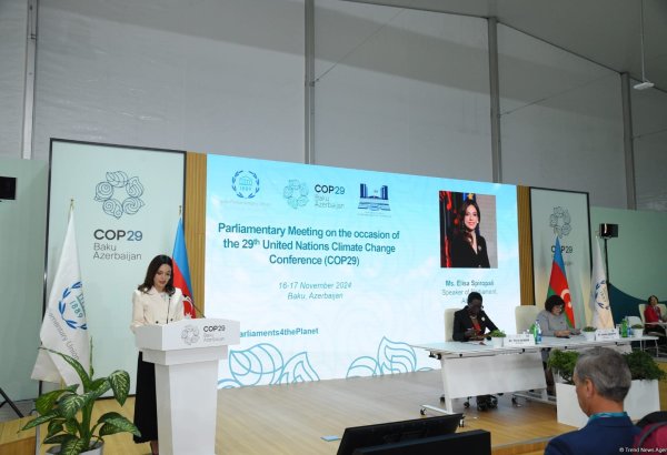 Albania prioritizes energy transition as key factor to reducing emissions - parliament speaker