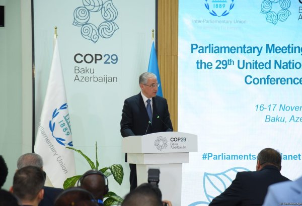 Parliaments can play important role in addressing climate change – COP29 president