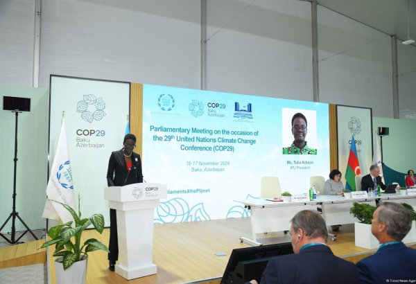 Parliamentarians bear responsibility for tackling climate change - IPU president
