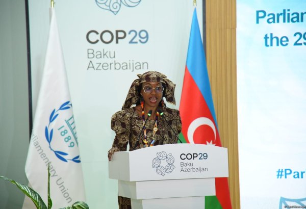 Indigenous peoples may disappear without climate finance - official