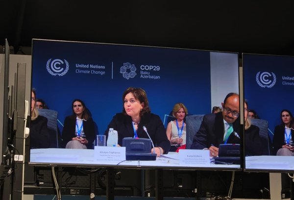 Countries, communities need to develop early warning systems as part of adaptation solutions - official