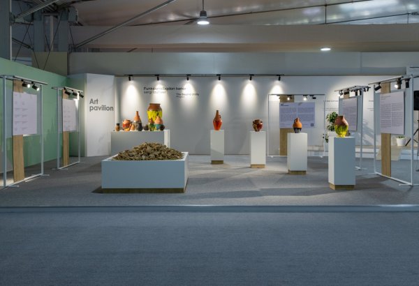 В рамках COP29 организованы выставка и симпозиум в презентации YARAT
(ФОТО)