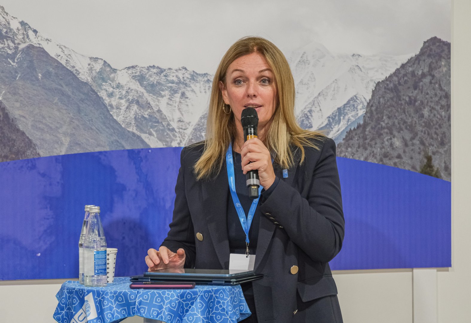 В рамках COP29 ANAMA и ПРООН провели совместное мероприятие по борьбе с минной угрозой и экоустойчивостью (ФОТО)