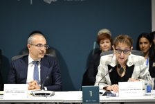 На COP29 дан старт диалогу Бакинской иницативы по климатическому финансированию, инвестициям и торговле (ФОТО)