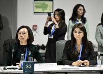 На COP29 дан старт диалогу Бакинской иницативы по климатическому финансированию, инвестициям и торговле (ФОТО)