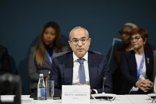 На COP29 дан старт диалогу Бакинской иницативы по климатическому финансированию, инвестициям и торговле (ФОТО)