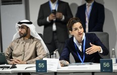 На COP29 дан старт диалогу Бакинской иницативы по климатическому финансированию, инвестициям и торговле (ФОТО)