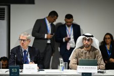 На COP29 дан старт диалогу Бакинской иницативы по климатическому финансированию, инвестициям и торговле (ФОТО)