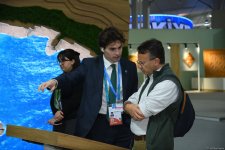Фоторепортаж с шестого дня COP29