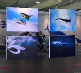 Фоторепортаж с шестого дня COP29