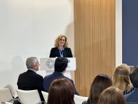 В рамках COP29 состоялась презентация «Обзора результативности экологической деятельности Азербайджана» (ФОТО)