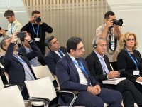 В рамках COP29 состоялась презентация «Обзора результативности экологической деятельности Азербайджана» (ФОТО)