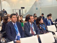 В рамках COP29 состоялась презентация «Обзора результативности экологической деятельности Азербайджана» (ФОТО)