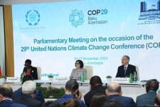 В Баку состоялось открытие Парламентской встречи в рамках COP29 (ФОТО)