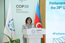 В Баку состоялось открытие Парламентской встречи в рамках COP29 (ФОТО)