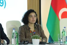 Состоялась сессия по повышению устойчивости перед изменением климата в рамках на полях Парламентской встречи в рамках COP29 (ФОТО)