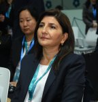 В Баку состоялось открытие Парламентской встречи в рамках COP29 (ФОТО)