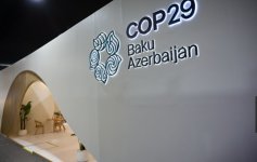 Рада начать участие в COP29 с поддержки инициативы Green Digital Action - заместитель гендиректора ЮНЕСКО (ФОТО)